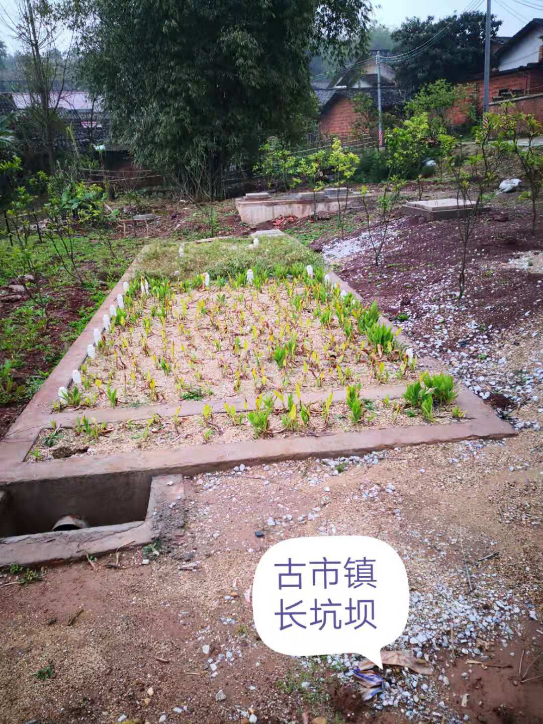 農(nóng)村生活污水治理工程案例(圖2)