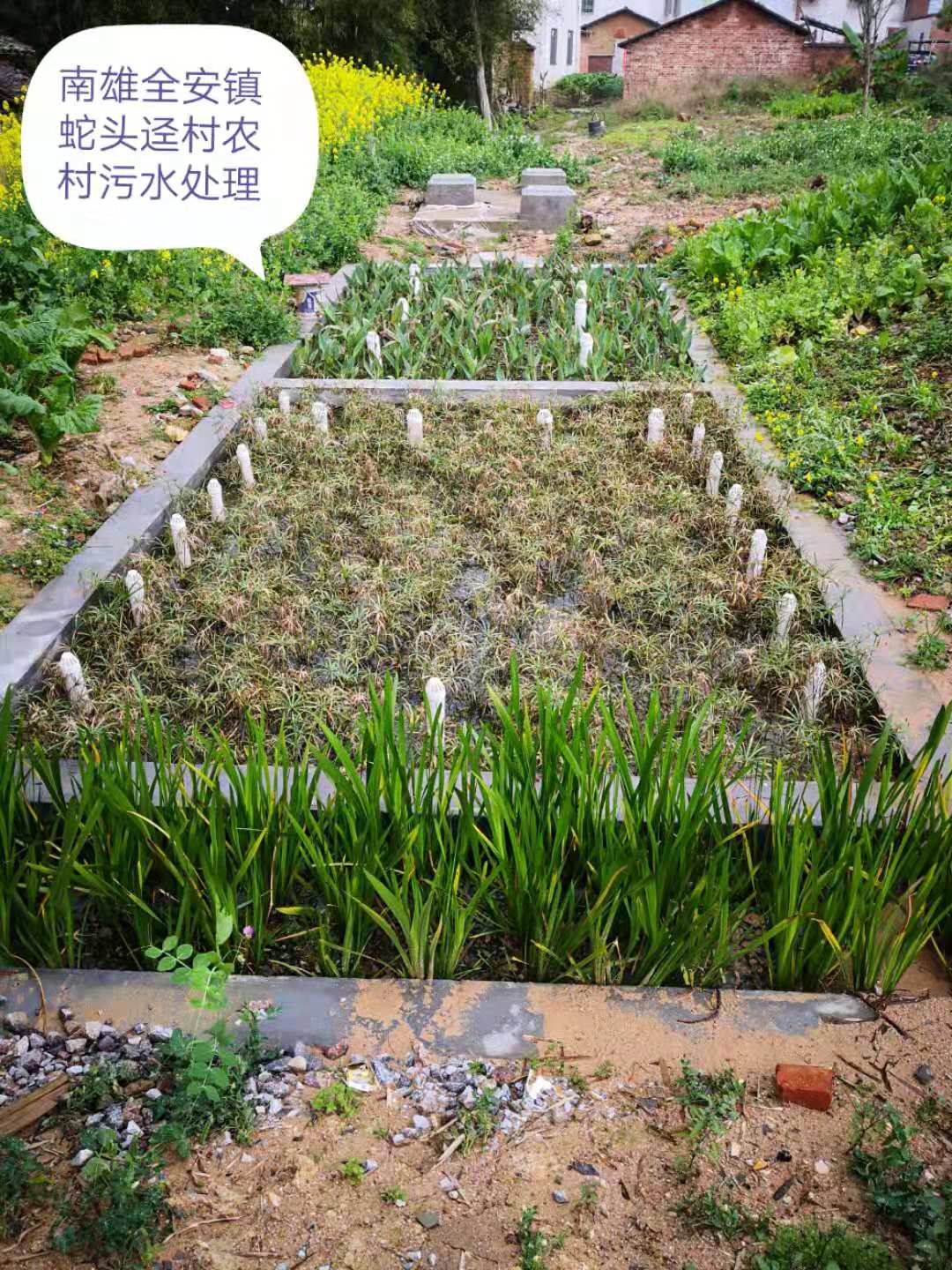 農(nóng)村生活污水治理工程案例(圖4)