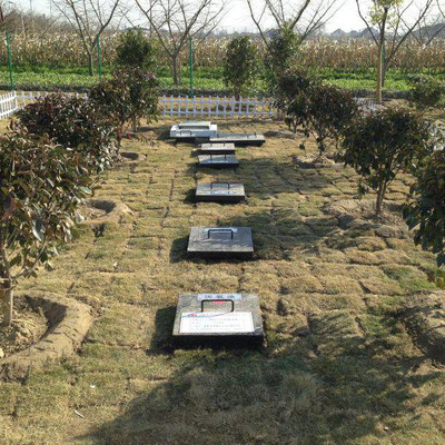制藥廢水處理解決方案(圖1) 制藥廢水處理解決方案(圖1)