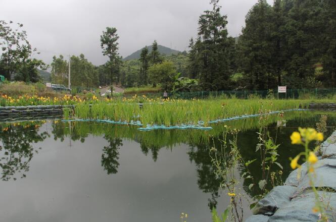 抓住這2點(diǎn)，快速提升農(nóng)村污水處理能力(圖2)